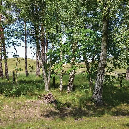 Lovely In With Wifi Holiday home Vejby